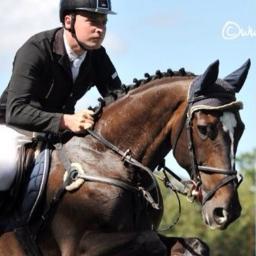 Home of Castlefield Sport Horses | Horse Sales Agent | Showjumper