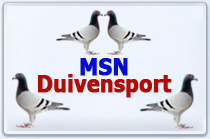 SchepensPatric1's profile picture. 