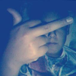 #Unicornio  #Chileno
