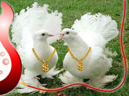 sa3idrashad's profile picture. عفوا لا اريد تقييم من احد فانا اعرف من اكون