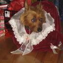 Mia Kern - @Meazzli - Twitter