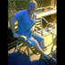 mark kennedy (@markkennedy13) Twitter profile photo mark kennedy (@markkennedy13) Twitter profile photo