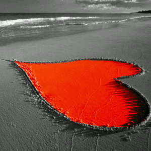 n4oofy_910's profile picture. PS3lD:n4oofy-910