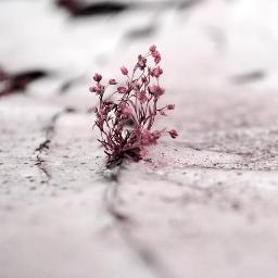 365Vibraciones's profile picture. Encontrarás una Vibración para cada día en la web: frases, textos, técnicas, trucos, etc. (A new Vibration every day in the web, phrases, writings, tips, etc.).