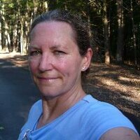 Sara Barton (@sarambarton) 's Twitter Profile