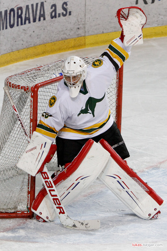 frenchie_29's profile picture. architect | designer