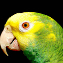 veronica ester camar - @missvero2010 - Twitter