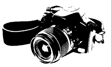 Le Répertoire Des Photographes Du Québec