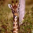 Nicholas Jay Stanton - @NicholasJayStan - Twitter