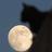citlisago's profile image