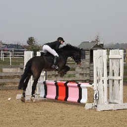 Our Company specialises in banners and related products. We sell display stands, digital pvc, velcro, banner tape, pole sleeves & fillers for equestrian jumps.