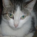 candy chavez espino - @candy_martin_29 - Twitter