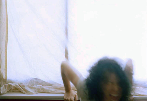 NatalieLoveless's profile picture. artist, curator, writer. @leafshaped