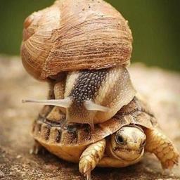 a_79er_man's profile picture. 