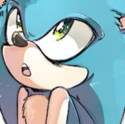 I'm that fast hedgehog 'ya know and talk about~! They say I'm faster than the speed of light~! That's true~!