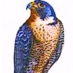 Doha Qatar News (@dohaqatarnews) Twitter profile photo Doha Qatar News (@dohaqatarnews) Twitter profile photo