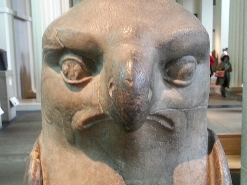 mace_o_mace's profile picture. meh!