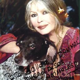 LuzMColombia's profile picture. 