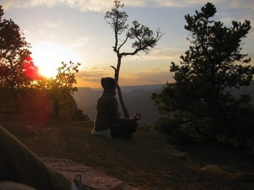 SadafCassim's profile picture. 