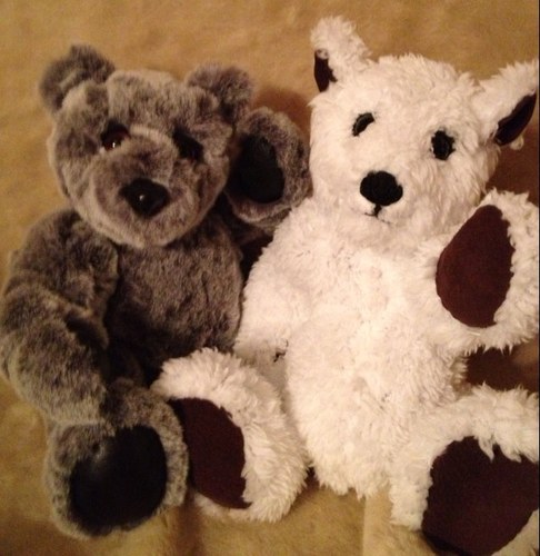 missiekaren's profile picture. I am a bear artist always trying to learn somthing new!  Never stop learning.