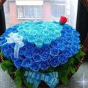 olivia ramon - @oliviaramon3 - Twitter