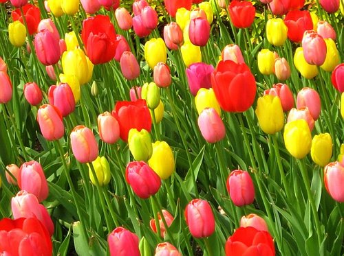 ChildrenOfPD's profile picture. ...because they're our parents...