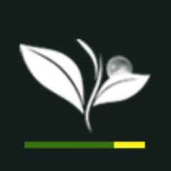 Site do grupo de aquapaisagistas brasileiros dedicado ao aqua-paisagismo.