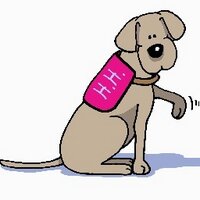 Helpful Hounds (@helpfulhounds) 's Twitter Profile