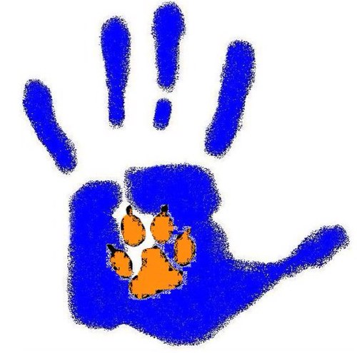 I've got your back!✋
Student driven empowerment program. More information on http://t.co/kfsHb9Y2Kd or @aevidum