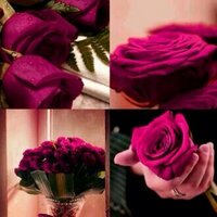 tooofi (@a7sasgir) 's Twitter Profile