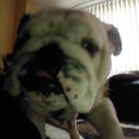 Jay Plummer - @jayp295 - Twitter