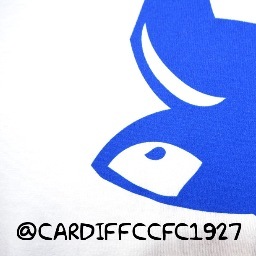 CardiffCCFC1927's profile picture. Fan Page for @CardiffCityFC
