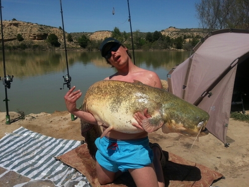 rolands_veiksa's profile picture. 