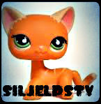 This is my twitter for my youtube user: SiljeLpsTv Follow me and I'll follow you back!