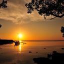 Frieda Smith - @FriedaSmith1 - Twitter