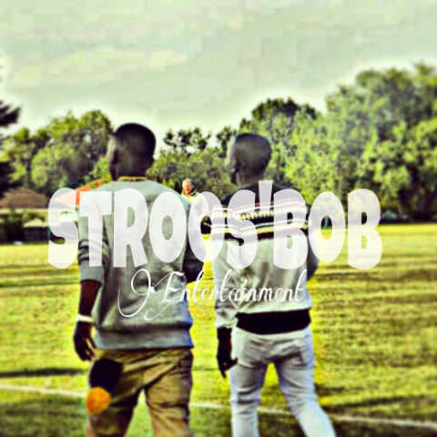 StroosBob Empire™