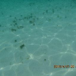 albenisb's profile picture. 