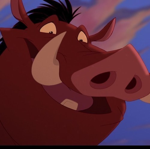 YourBroPumba's profile picture. HAKUNA MATATA BITCH