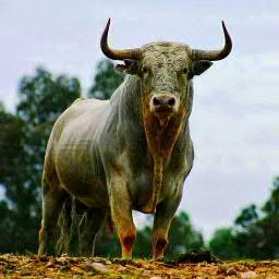 AxlgomezG's profile picture. God is with us, never give, never take a step back, never lose faith,