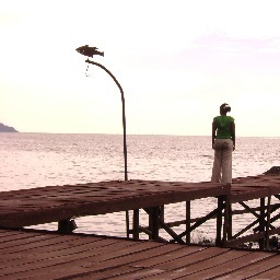 the_marale's profile picture. A pilgrim in progress.