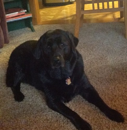 coach6525's profile picture. 