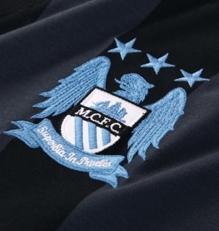 Massive WWE fan! Love ziggler and Jericho! Been a massive city fan for years now! #mcfc #champions