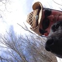 Andy Champion - @theandychampion - Twitter