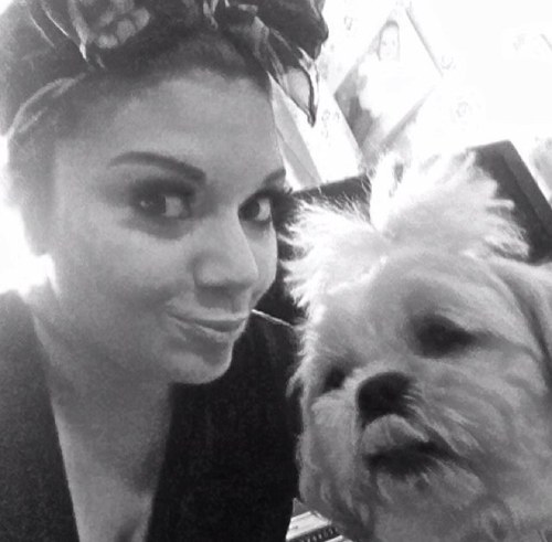 ElvisTheShiz's profile picture. A Shih Tzu with swag