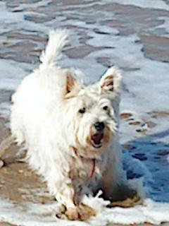 thoughtimight's profile picture. I think 'my god' thanks for making me human.