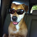 Sandie Jackson - @jacksonsandie - Twitter