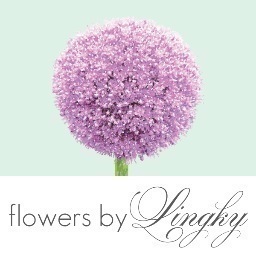 Lingky C Sugg started Flowers by Lingky LLC in 2010.