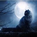 Irene Frey - @IreneFrey77 - Twitter