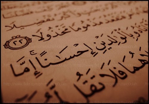 ((ربي ارحمهُما كما ربياني صغير)) صدقه جاريه لوالدي..اللهم اجعل الملائكه تتسابق على أبواب الجنه لاستقبال آبي وآمي..