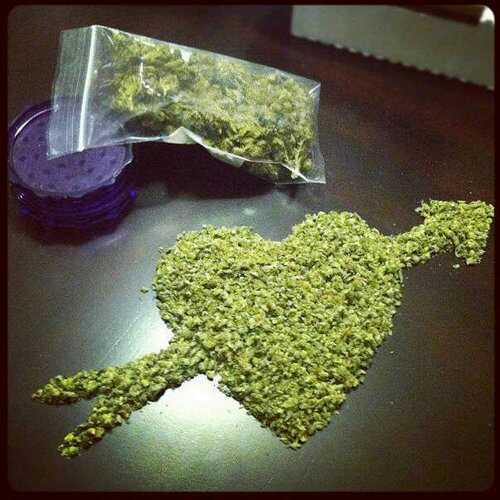 MatheeoMatheo's profile picture. 